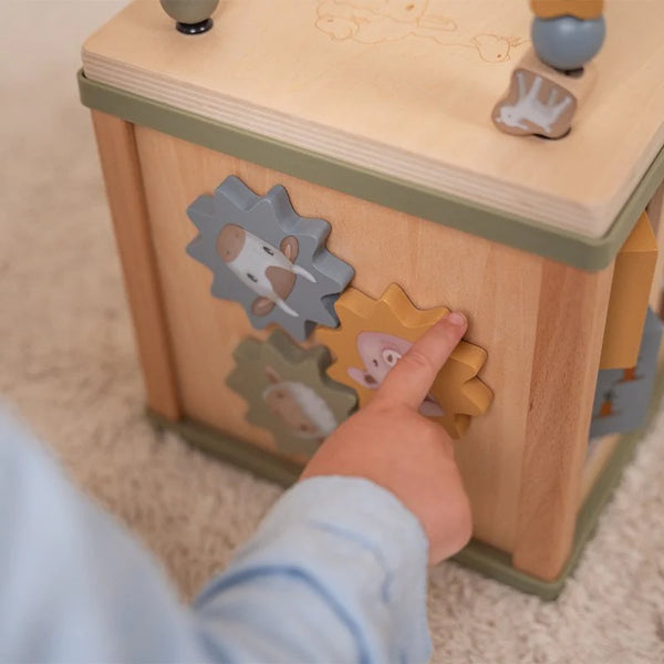 Activity Cube Little Farm FSC 