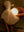 Snuggle Goose with Light & Sound