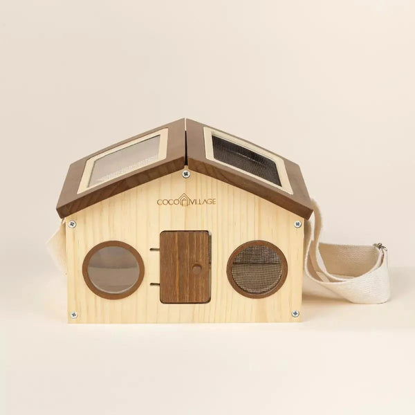 Wooden insect catcher and exploration set