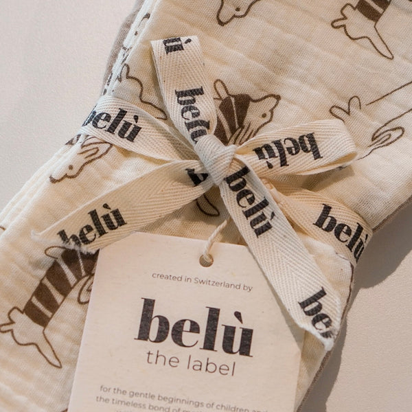 5-Pack Muslin Washcloths Sausage Dog