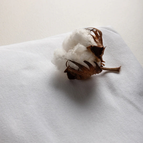 Jersey fitted sheet junior white 