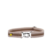Elastic belt ray brown