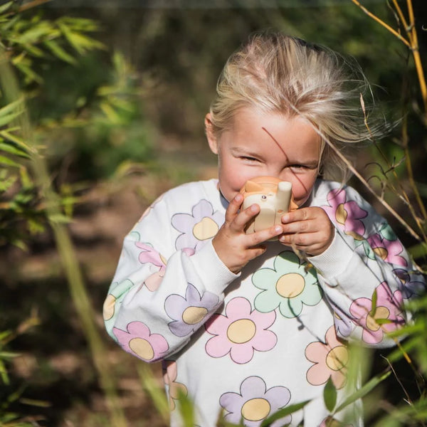 Zoo Walkie Talkie Set Fox