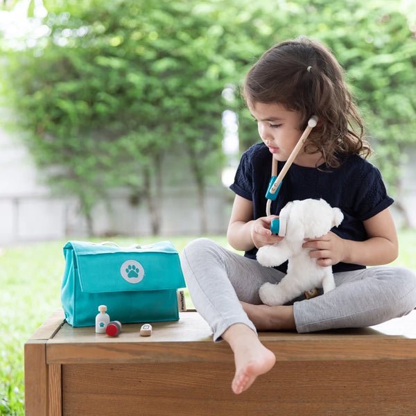 Wooden veterinarian playset 