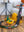 Race Track Set Speed