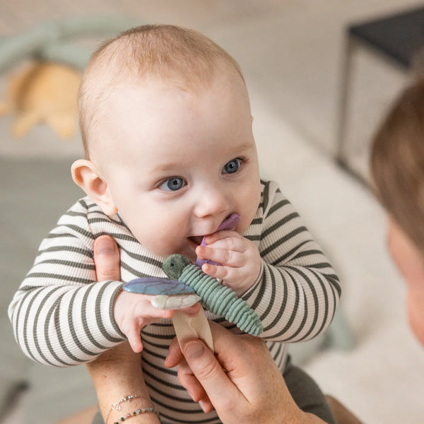 Activity toy flower/dragonfly/swan 