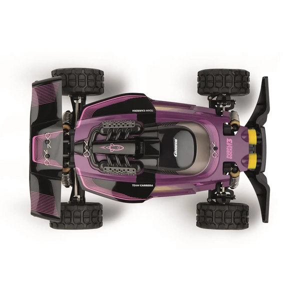 1:18 R/C Purple Rocket PX Professional 2.4 GHz Digital Proportional