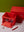 Storage Box Medium Red