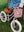 Pin & Ride Basket Raspberry