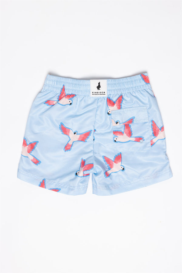 Swim Trunks Parrot