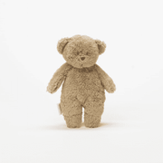 Sensory Little Teddy Cappuccino