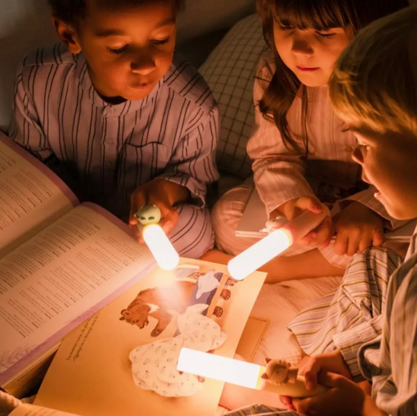 3-in-1 Night Light Fox