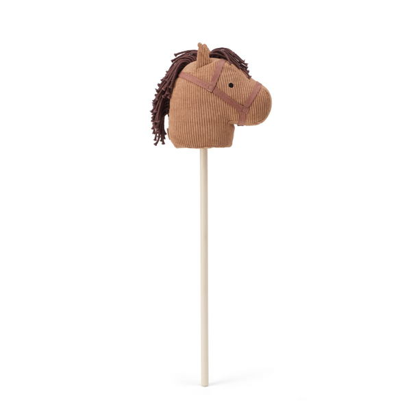 Vera Aiden's hobbyhorse