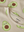 Pajama Oatmeal Avocado
