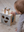 FSC Motor Skills Box 