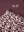 Pyjama Leo Wild Ginger Bow Top