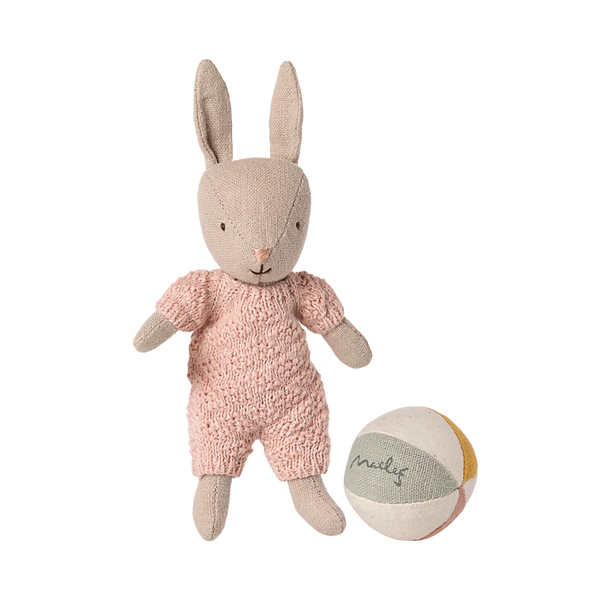 Rabbit Set Micro Sand Rose