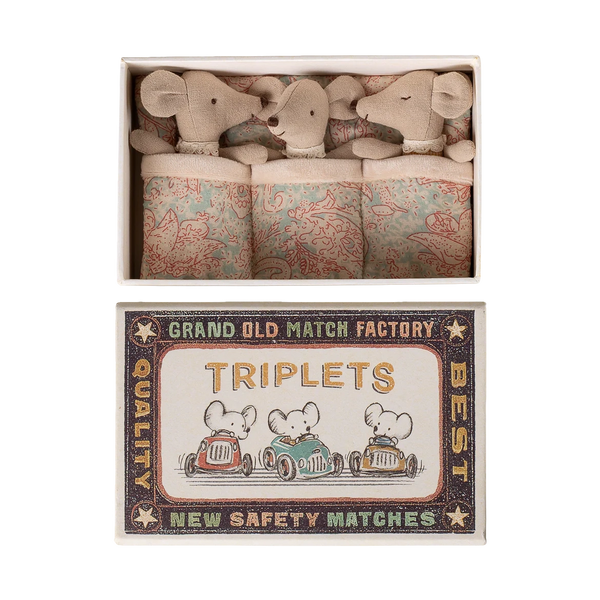 Triplets baby mice in matchbox