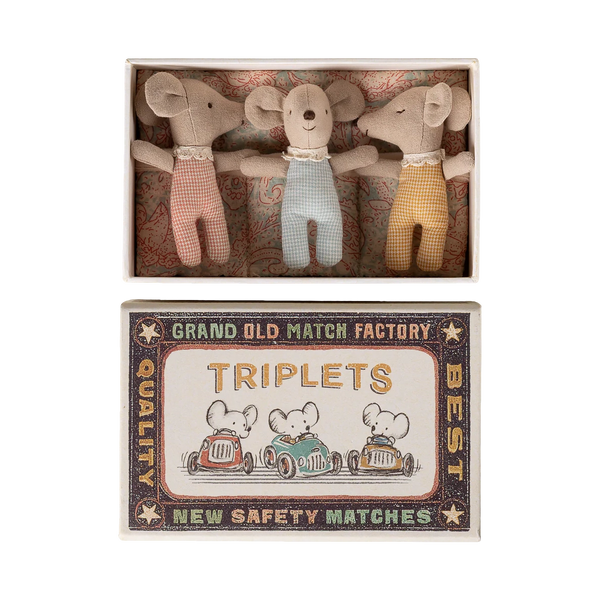 Triplets baby mice in matchbox