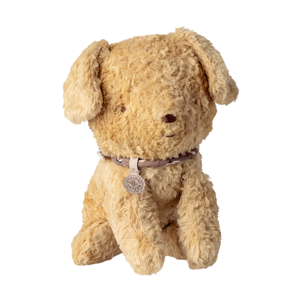 Little Puppy Soft Sand