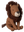 Safari-Freunde 