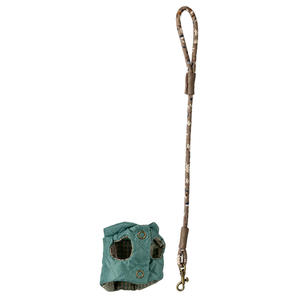 Haustierhalsband und Leine Dunkle Minze