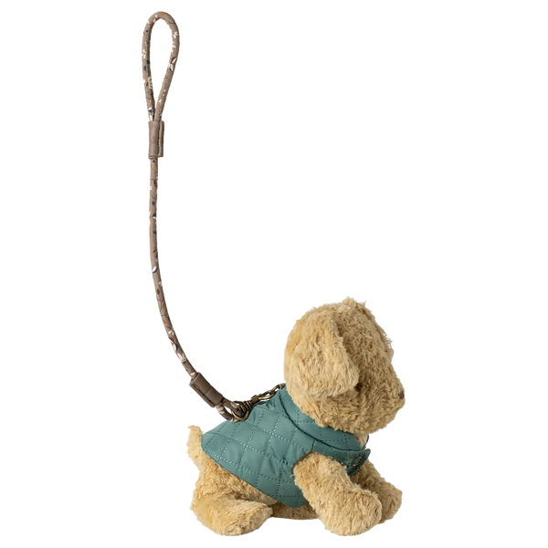 Haustierhalsband und Leine Dunkle Minze