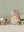 Toothbrush Set in Pouch Mouse Red Striped
