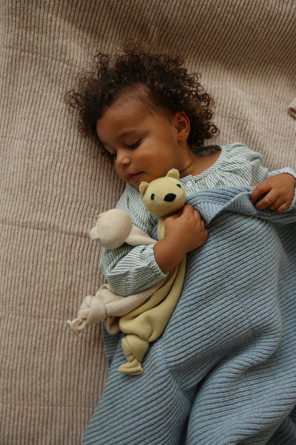 Baby blanket Gaston Frost Blue