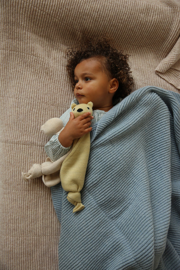 Baby blanket Gaston Frost Blue