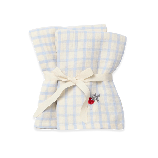 2-Pack Muslin Blanket Small Gingham Sky Blue