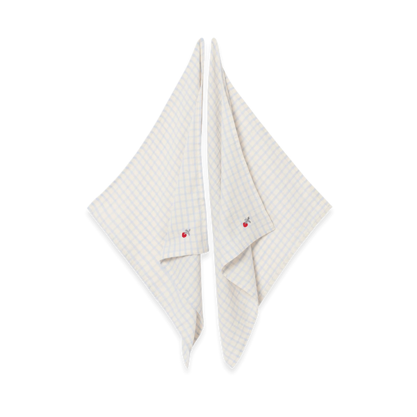 2-Pack Muslin Blanket Small Gingham Sky Blue