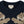 Konges Slojd Lou Sweatshirt Total Eclipse | Shirt | Beluga Kids