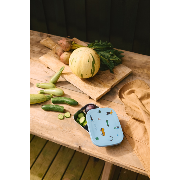 Arthur Lunch Box Fun / Beach Blue