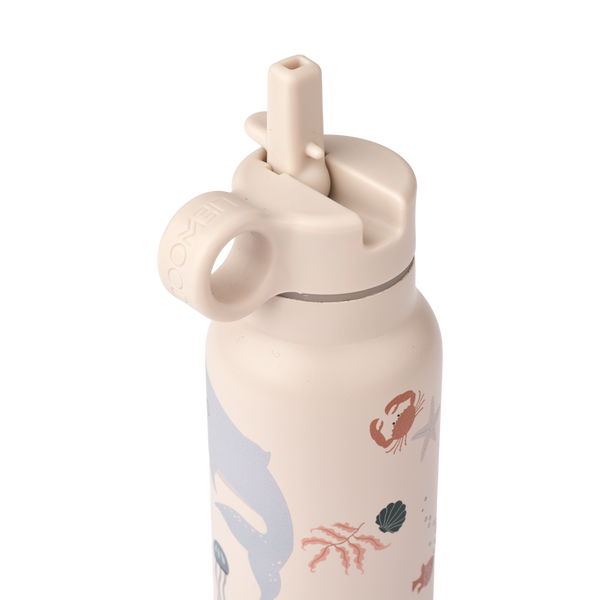Falk Water Bottle Sea Creatures