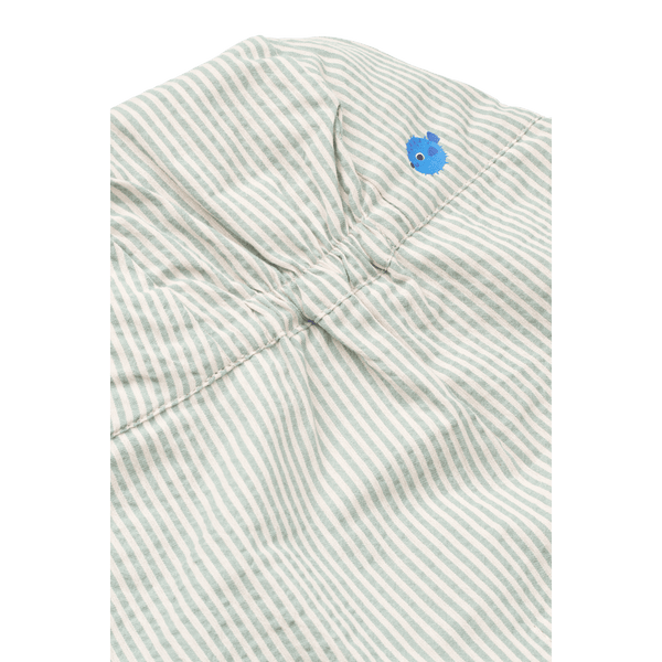 Cecilia Coneflower Peppermint / Sandy 