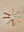 3-Pack Baby Spoons Mellow Lavender