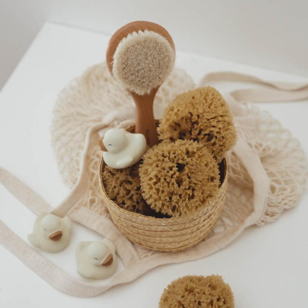 Mrs. Ertha Polly & Olly Natürliches Badeset | Badespielzeug | Beluga Kids