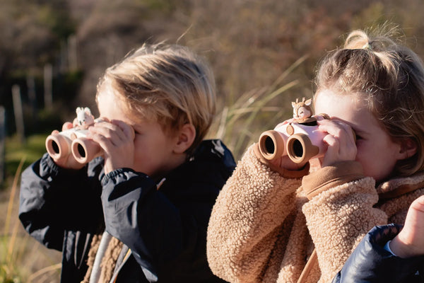 Binoculars Zoo Eyes Deer