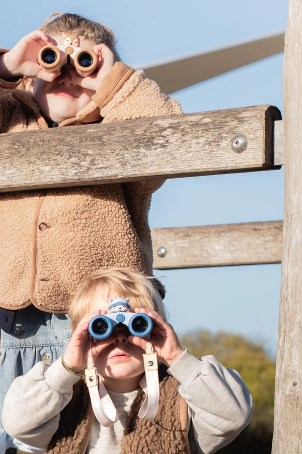 Binoculars Zoo Eyes Raccoon
