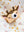 Children's Camera C1 - Zoo Friends Deer