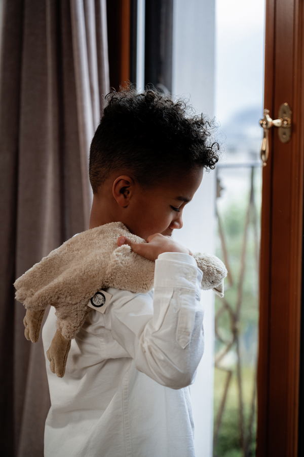 Stuffed goose, small, linen