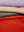 Activity & Floor Protection Mat made of Silicone Leather Roam Round Peach/Green