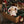 Olli Ella Puppe Cozy Dinkum Bunny Twiggy | Puppen | Beluga Kids