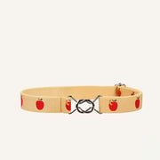 Elastic Belt Apple