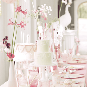 Meri Meri Prinzessin Partyteller mit Golddetails, Nahaufnahme