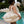 Swimming Ring Swan Off White