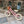 Balance bike Sparkling Pink