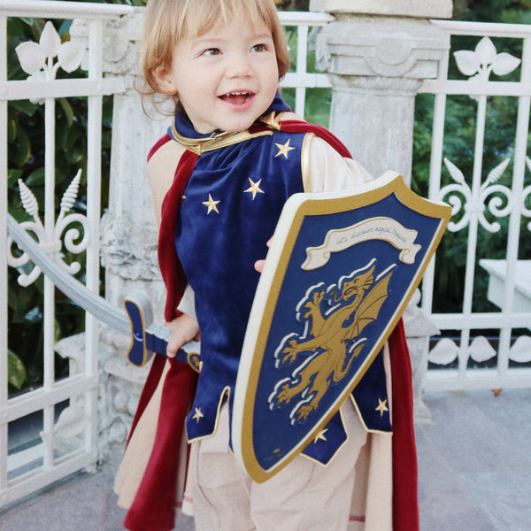 Costume de Chevalier Bleu