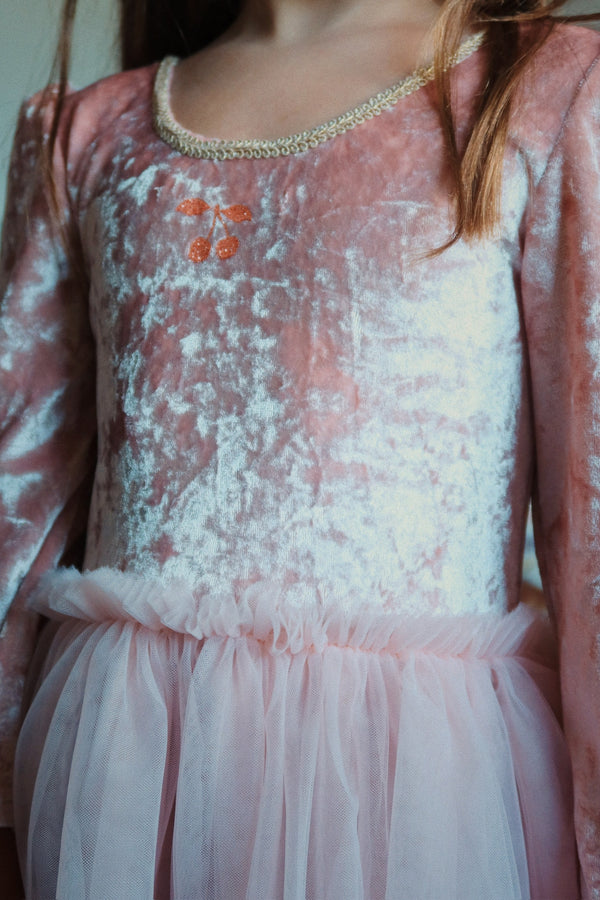 Elisa Princess Costume